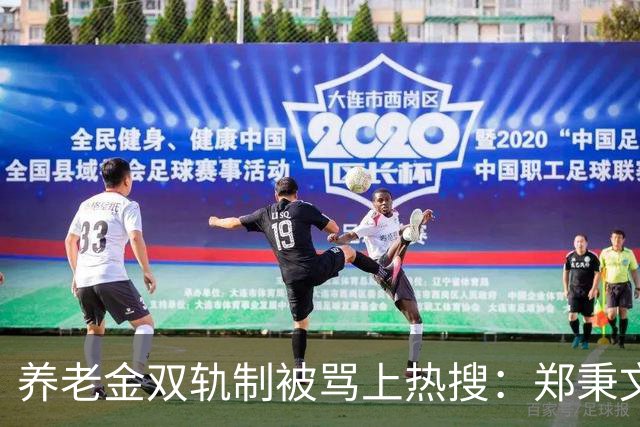 养老金双轨制被骂上热搜：郑秉文背的，是整代人的账
